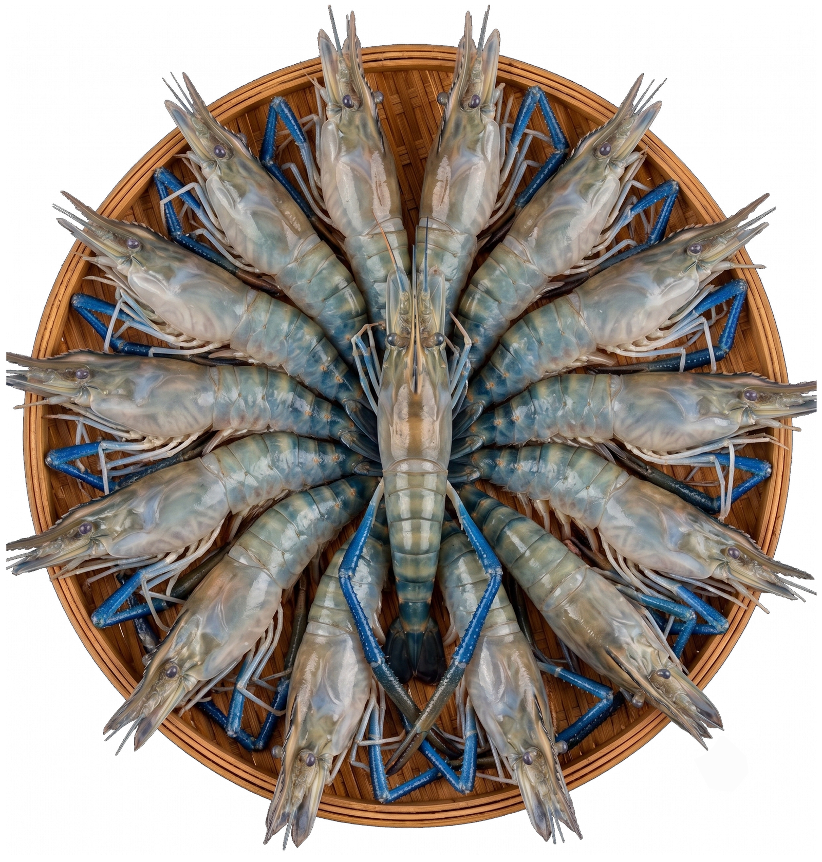 Chingri